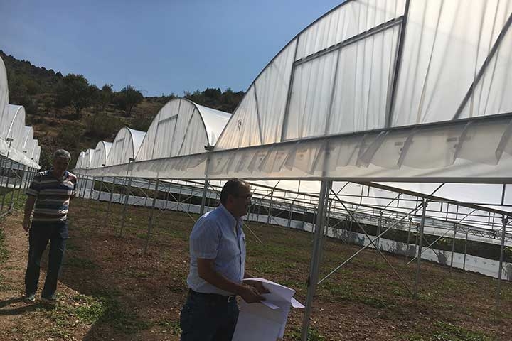 Askeroğulları Seracılık | Eskisşehir Sera