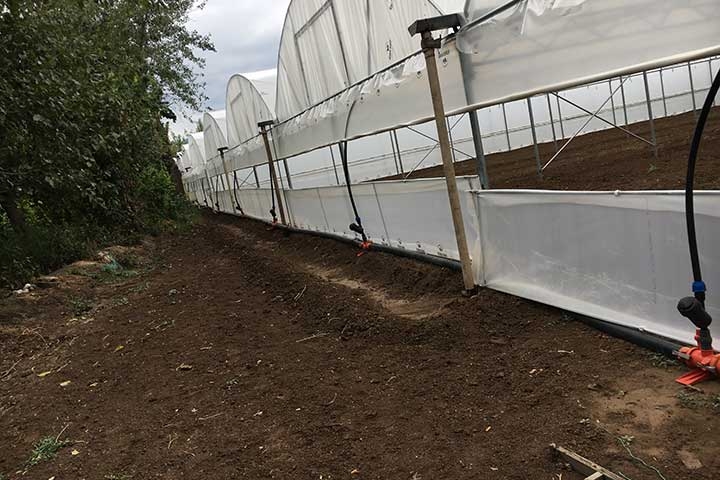 Askeroğulları Seracılık | Eskisşehir Sera