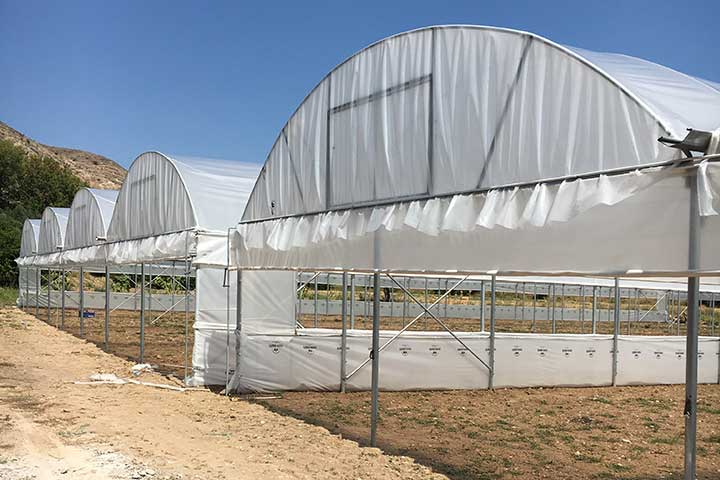 Askeroğulları Seracılık | Eskişehir Sera