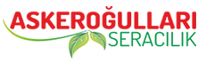 Askeroğulları seracılık