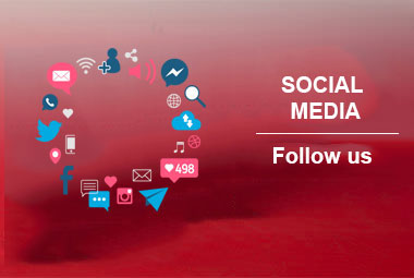 Askeroğulları Seracılık | Eskişehir Sera