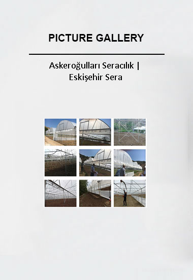 Askeroğulları Seracılık | Eskişehir Sera
