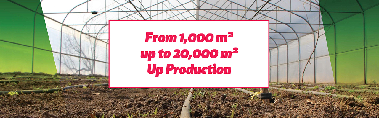 Askeroğulları Seracılık | Eskişehir Sera