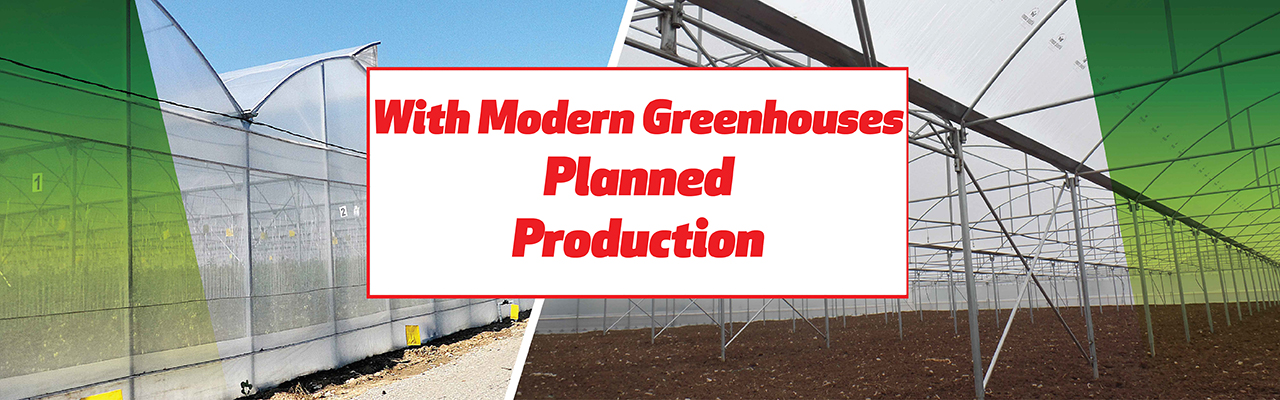 Askeroğulları Seracılık | Eskişehir Sera