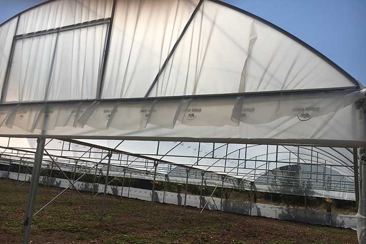 PAskeroğulları Seracılık | Eskişehir Sera