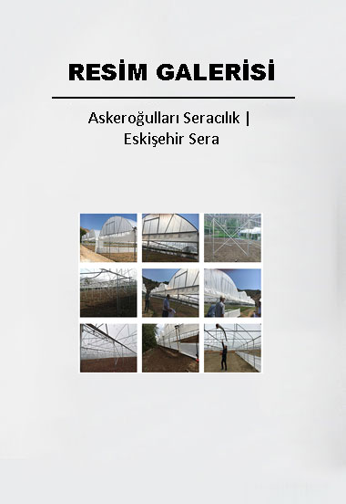 Askeroğulları Seracılık | Eskişehir Sera