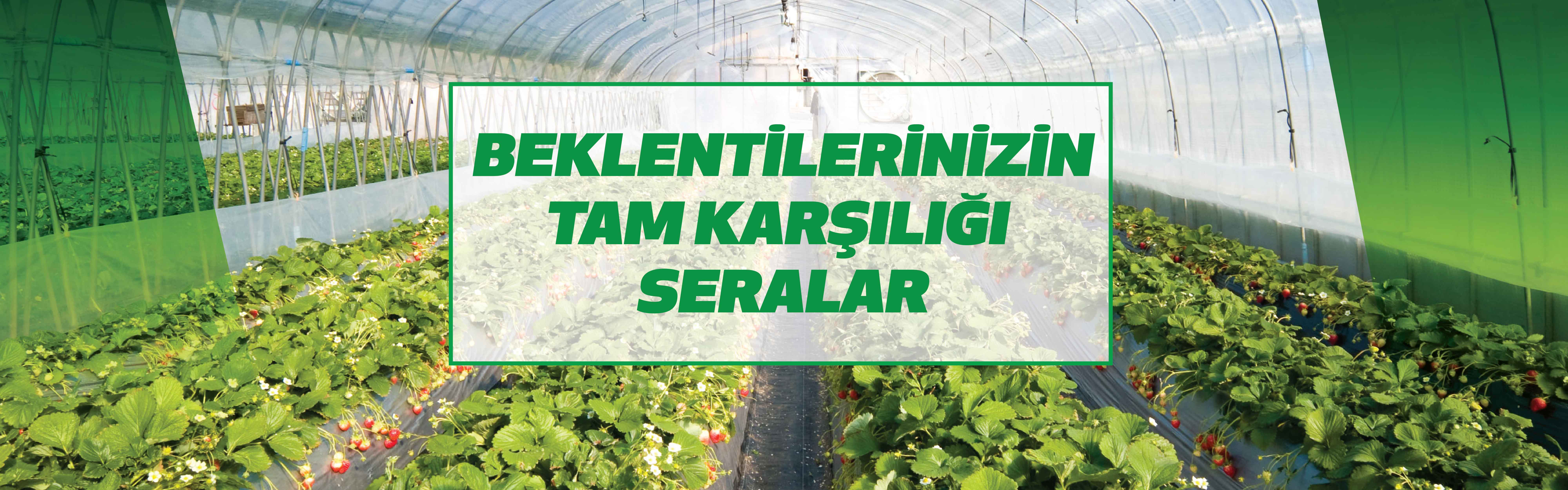 Askeroğulları Seracılık | Eskişehir Sera