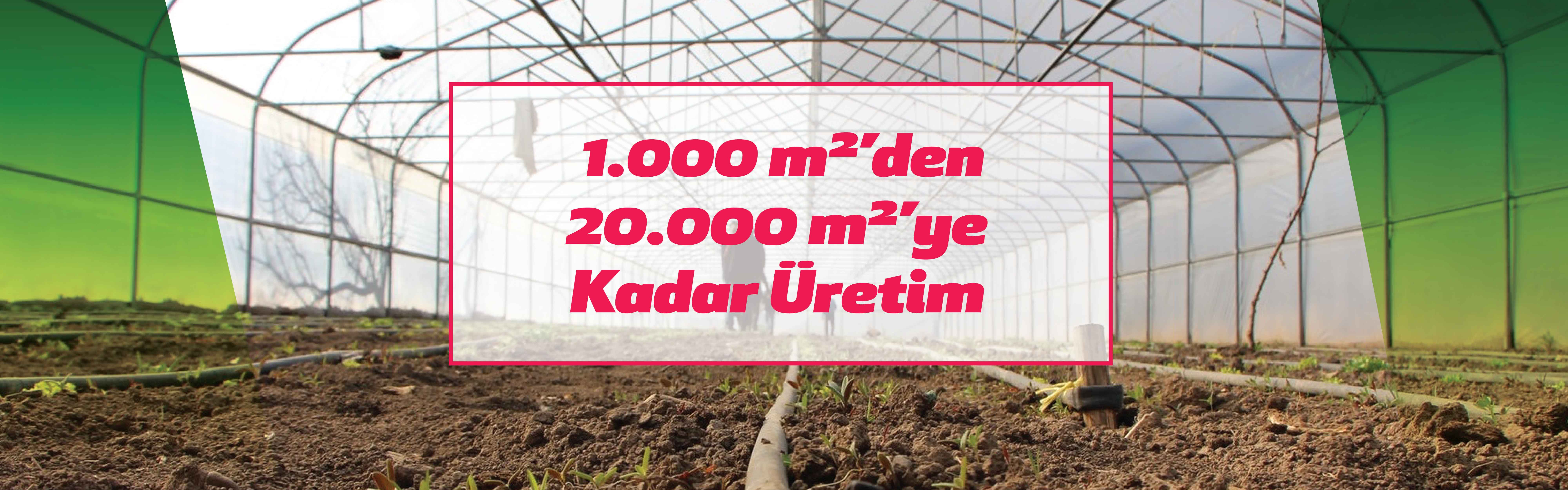 Askeroğulları Seracılık | Eskişehir Sera