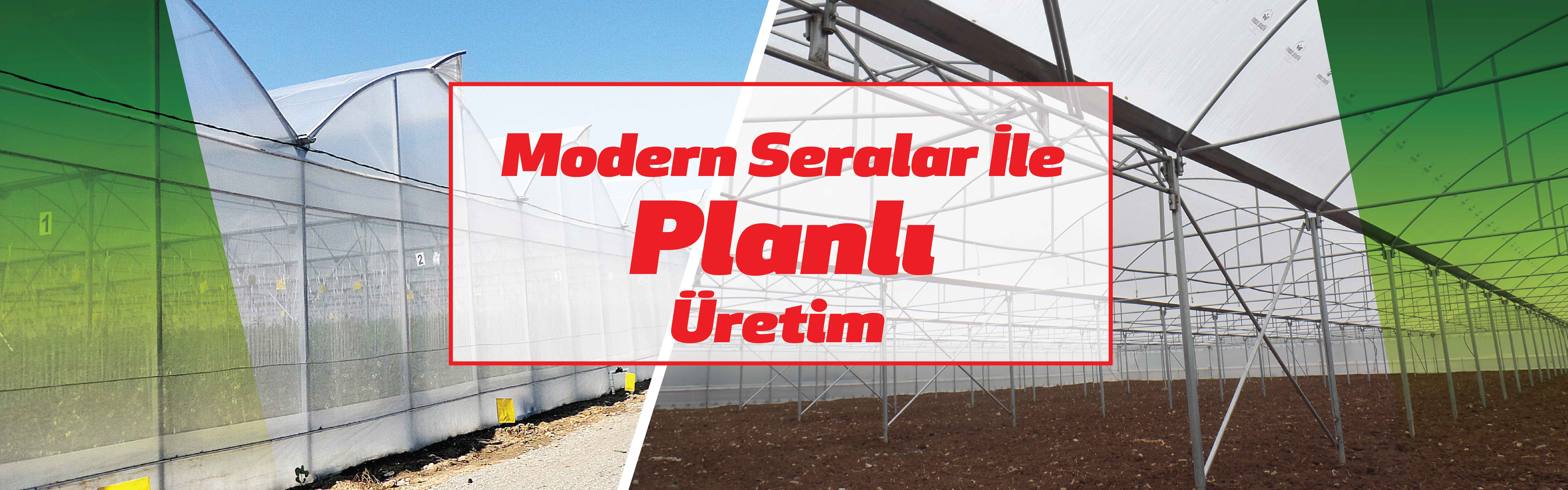 Askeroğulları Seracılık | Eskişehir Sera