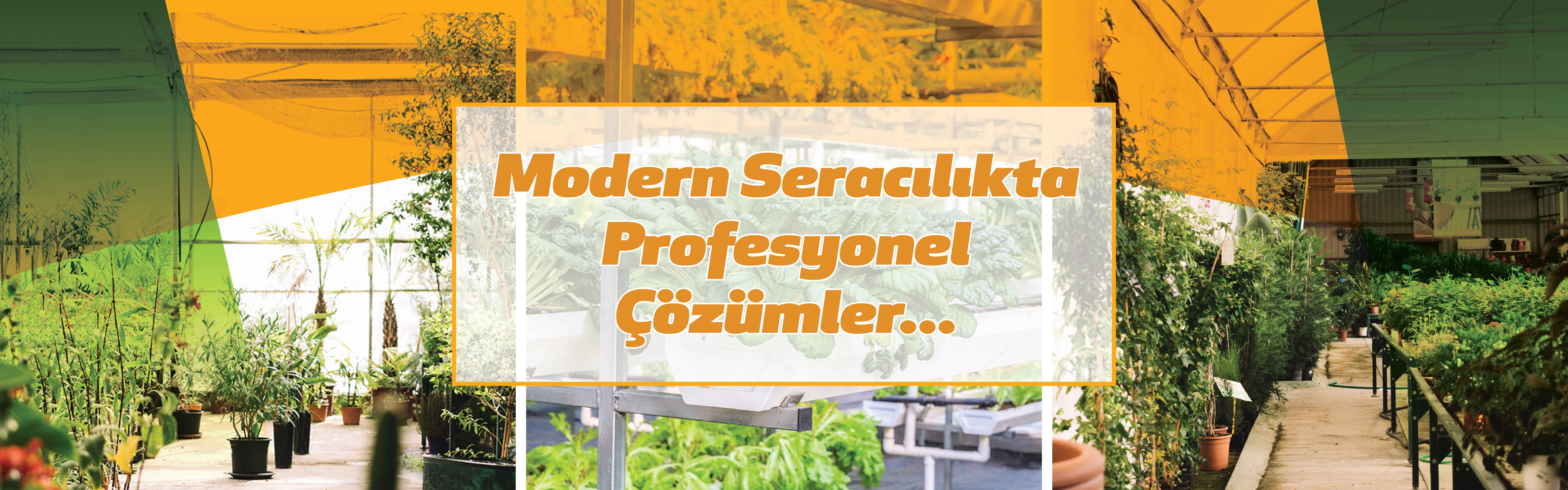 Askeroğulları Seracılık | Eskişehir Sera