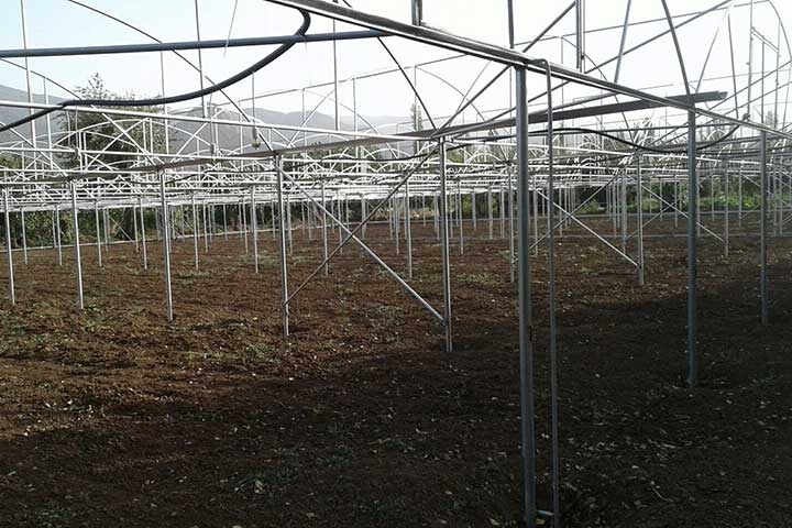 Askeroğulları Seracılık | Eskisşehir Sera