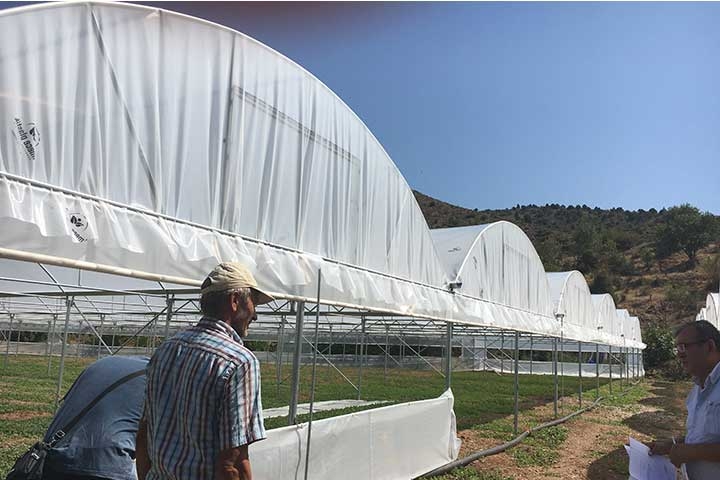 Askeroğulları Seracılık | Eskisşehir Sera