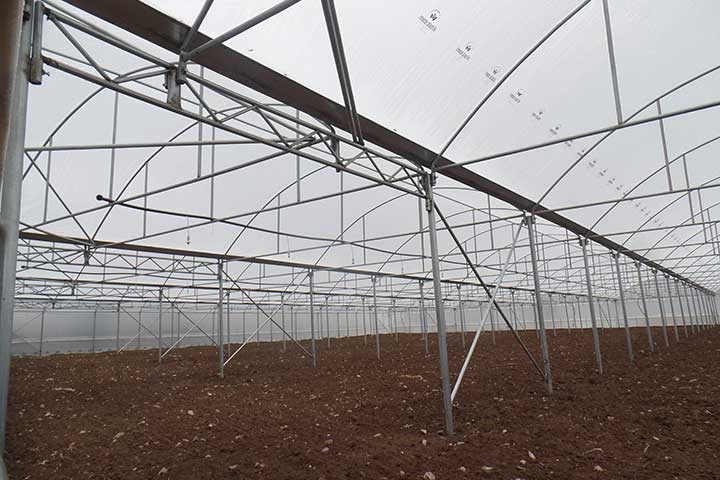 Askeroğulları Seracılık | Eskisşehir Sera