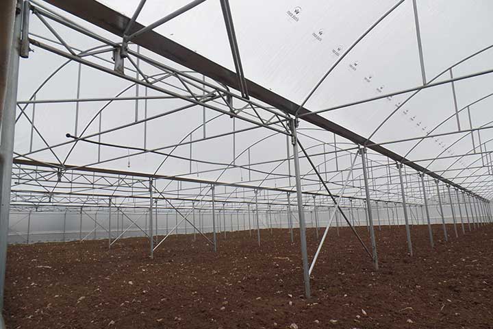 Askeroğulları Seracılık | Eskişehir Sera