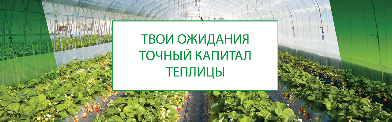 Askeroğulları Seracılık | Eskişehir Sera