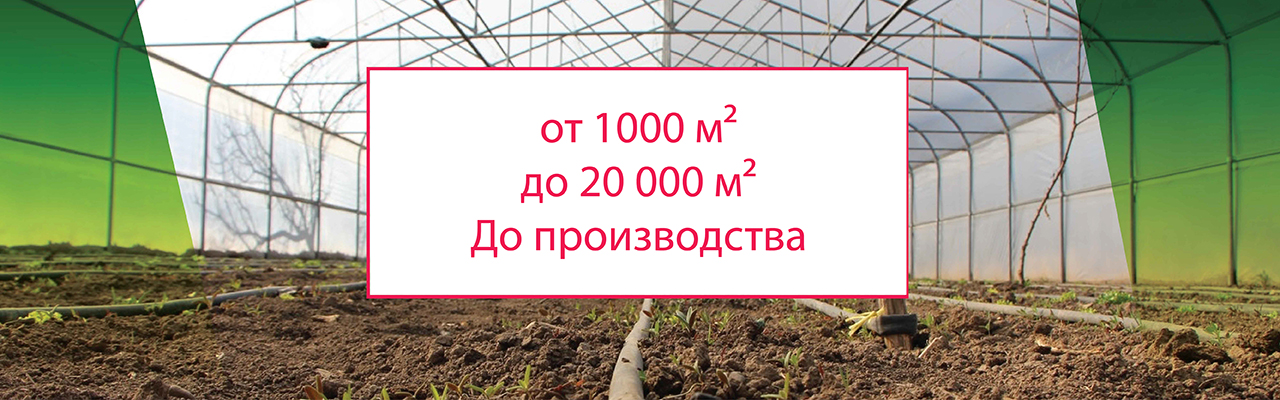 Askeroğulları Seracılık | Eskişehir Sera