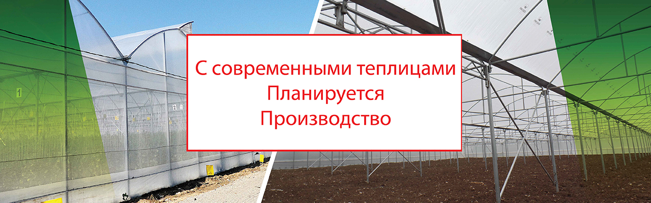 Askeroğulları Seracılık | Eskişehir Sera