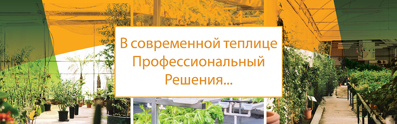 Askeroğulları Seracılık | Eskişehir Sera